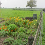 jonnie en tuin 086